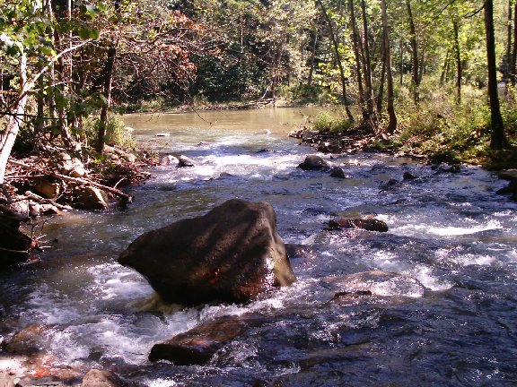 Mountain Creek & Bluestone confluence