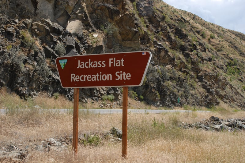Jackass Flat Sign
