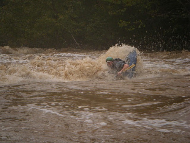 Blunt Bunny Hole