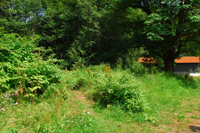 Start of Trail to Gallop Creek Access
