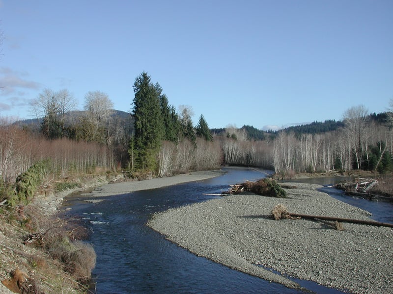 Bogachiel River