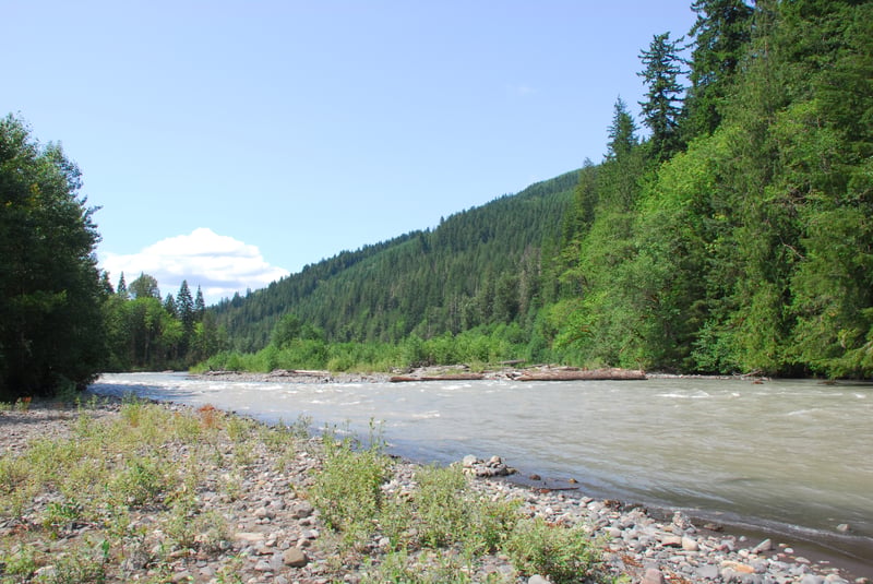 View Downstream of North Fork Nooksack