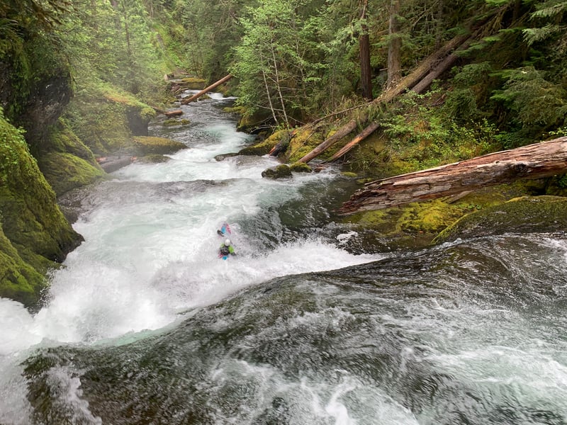 Christy Creek @to Confluence with N. Fk. of Middle Fk. of Willamette