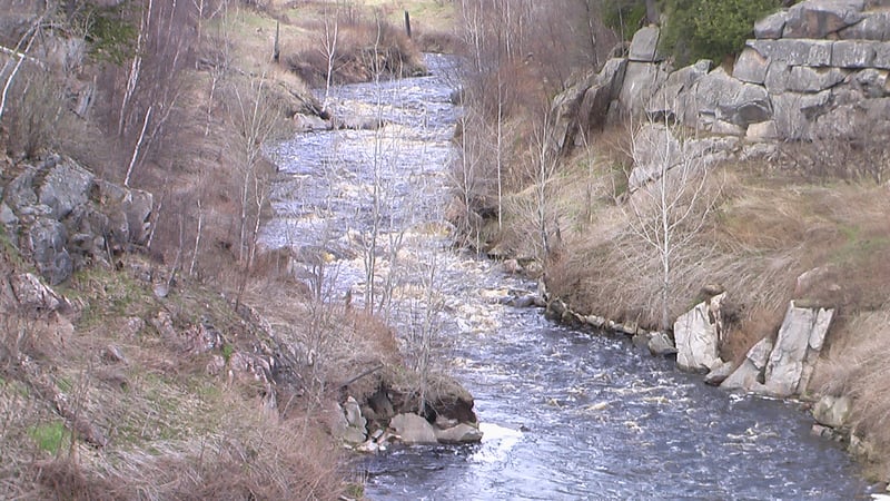 Prairie Dells