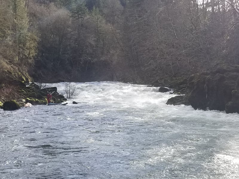  on Clackamas @4. Farday Diversion Dam to Farday Powerhouse