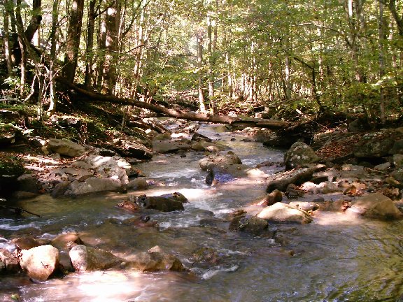 Suck Creek