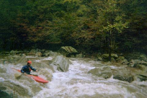 Ward Swan at Stairstep