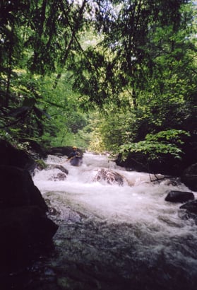 Jones Gap