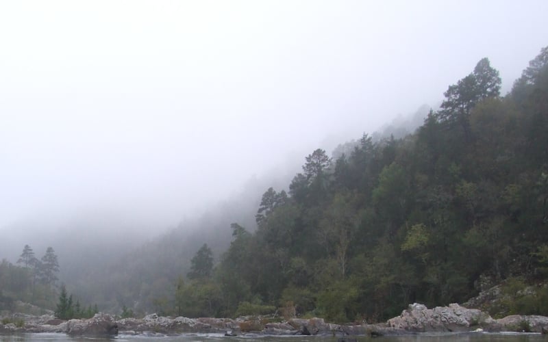 Foggy Falls