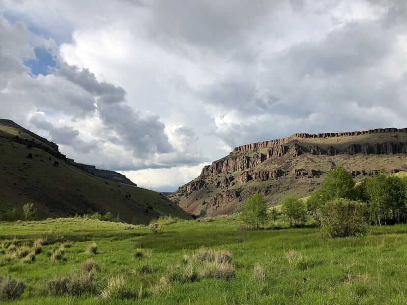  on Jarbidge, East Fork @1. Upper East Fork to Murphy Hot Springs, Idaho
