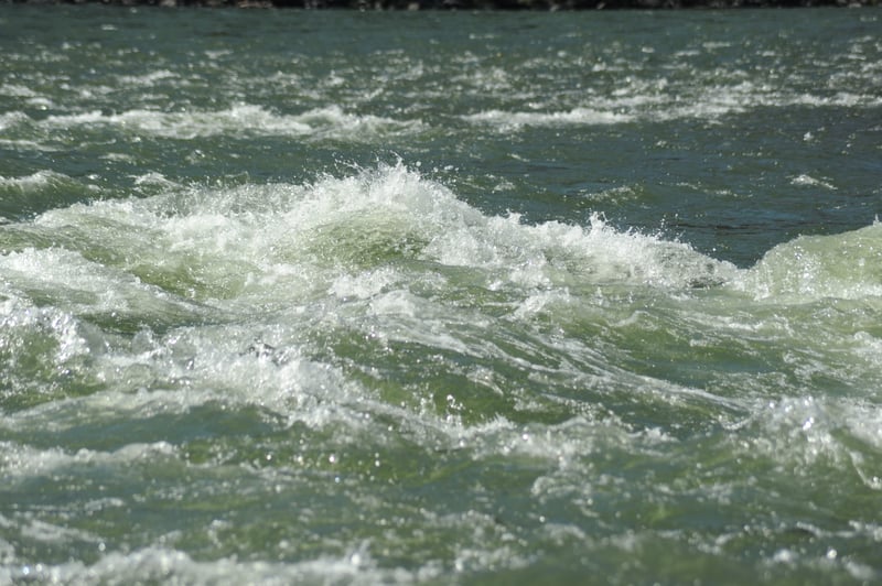 Wapshilla Rapid