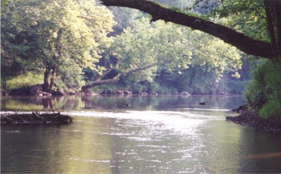 Buffalo River