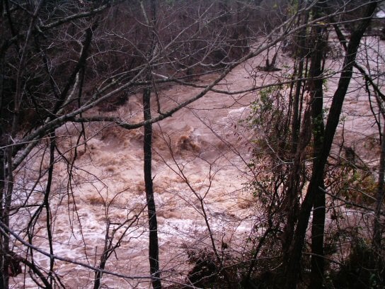 Madams at flood stage