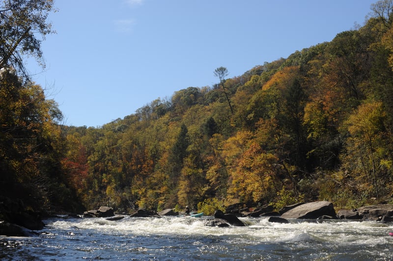 Looking Upstream at Camel and Walrus