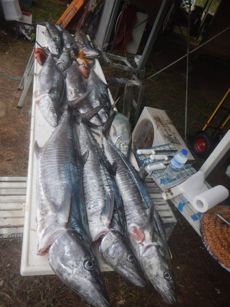 Table of Spanish mackerel