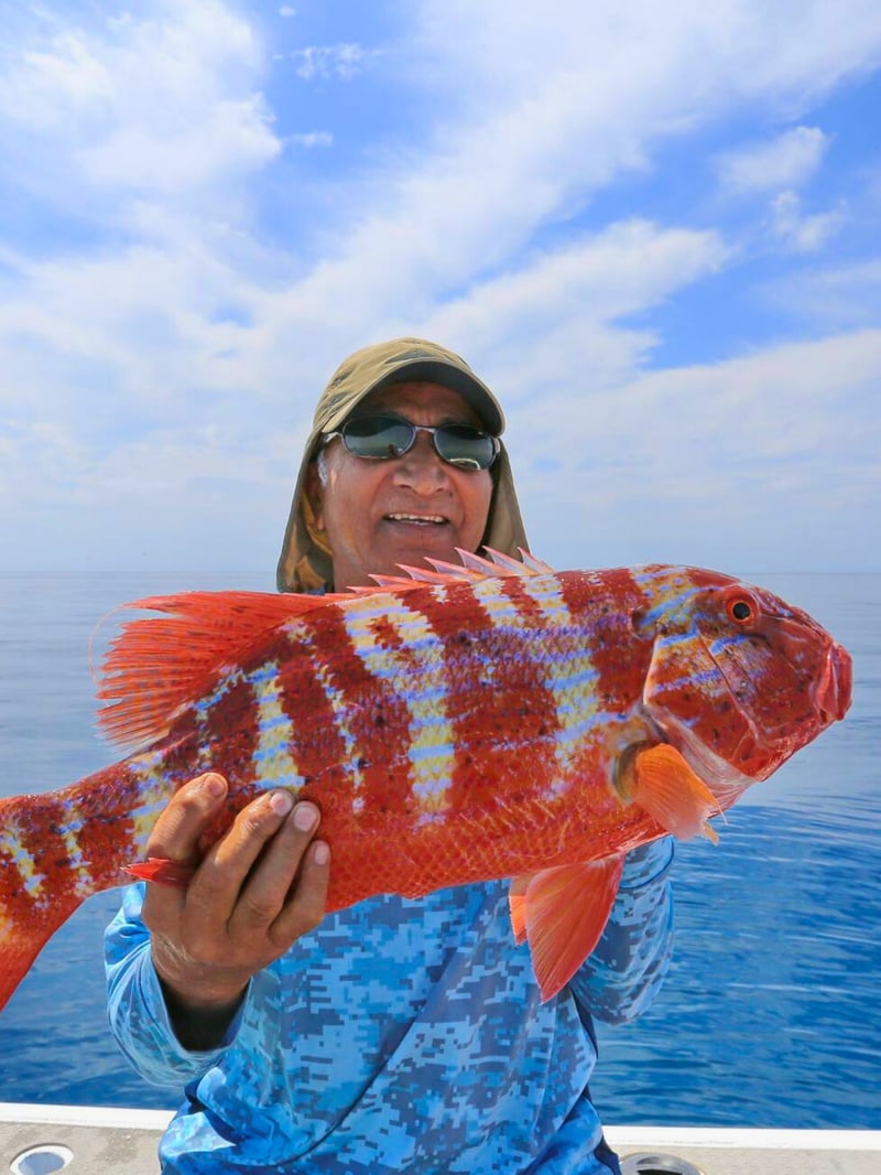 Coral trout close-up