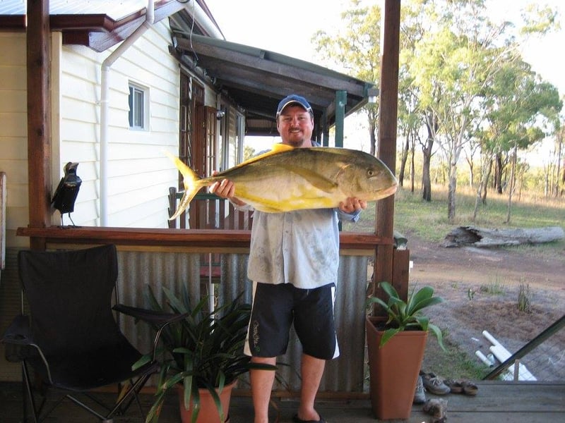 Guest with Golden Trevally