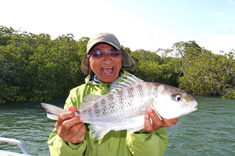 Reef fishing variety