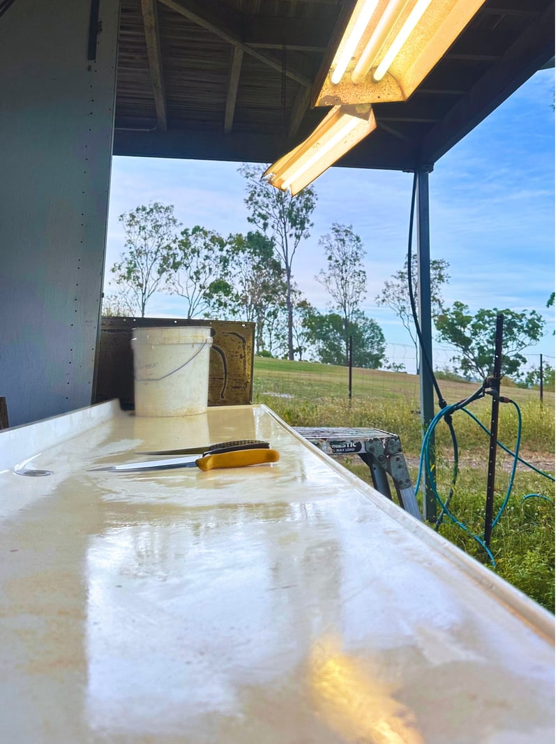 Fish filleting station