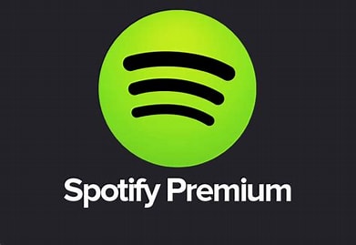 Spotify Premium Account