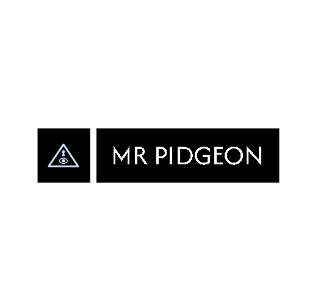 Mr pidgeon UNWATERMARKED