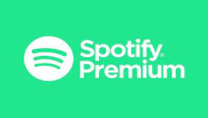 SPOTIFY PREMIUM 12 MONTHS (ON YOUR OW ACCOUNT)