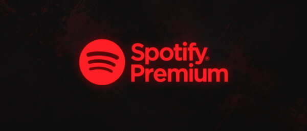Spotify Premium 12 month [Upgrade] product image