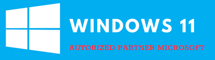 Windows 11 PRO l Online Key Activation