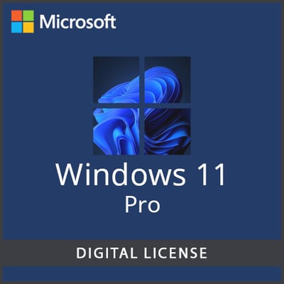 Windows 11 Professional License Key