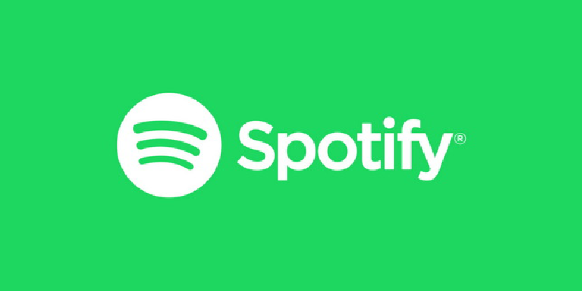 Spotify Individual Plan (PRIVATE UPGRADE) | 12 Months