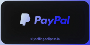 PayPal Logs
