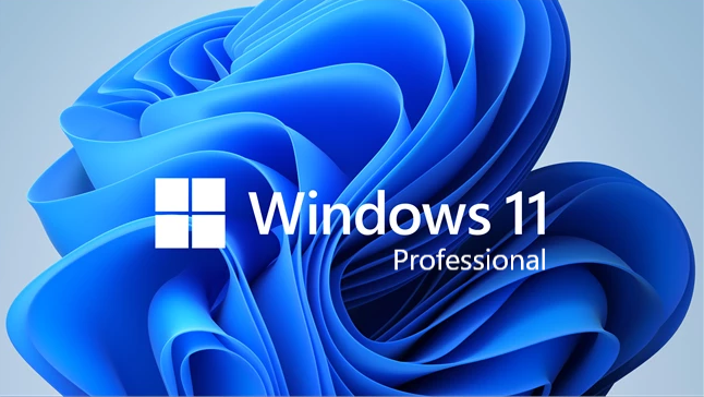 Windows 11 Pro License For 5PC Retail Key