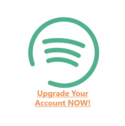S.~poti.fy Upgrading Service (Your Account) 12 month warranty