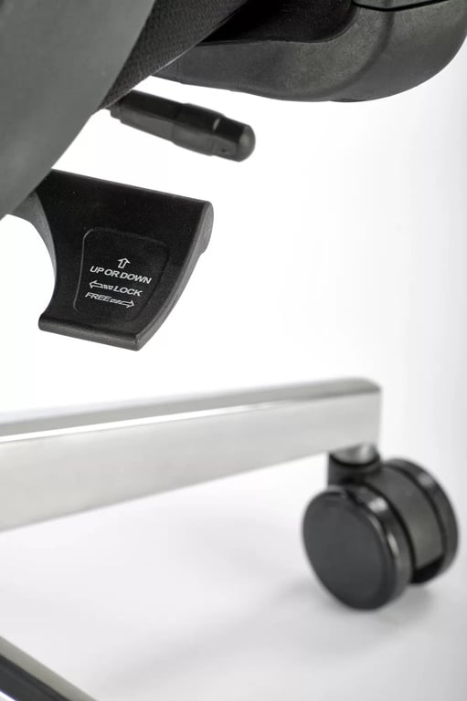 Eralio ergonomikus szék - fekete Kancelářske křeslo geronimo - Fekete