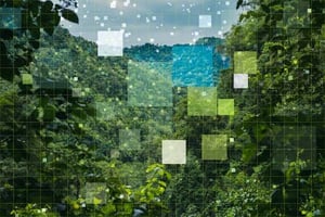 IOT Environmental Monitoring