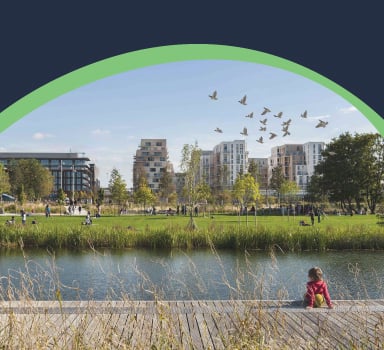 Birdz Rebranding Case Study