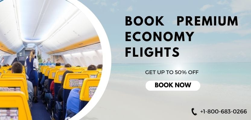 book-premium-economy-flights