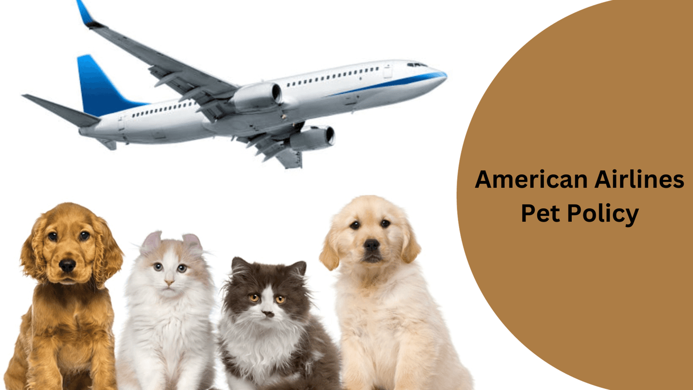 American-Airlines-Pet-Policy