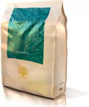 Essential - Stamina Essential - Stamina