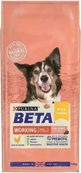 Beta Working Rich In Chicken Beta Working Rich In Chicken