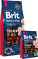 Brit Premium By Nature Adult L Chicken