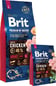 Brit Premium By Nature Adult L Chicken Brit Premium By Nature Adult L Chicken