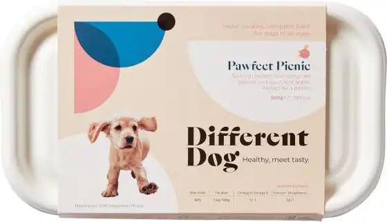 Different Dog Pawfect Picnic