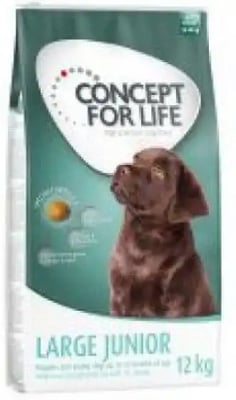 Concept For Life Large Breed Junior Junior