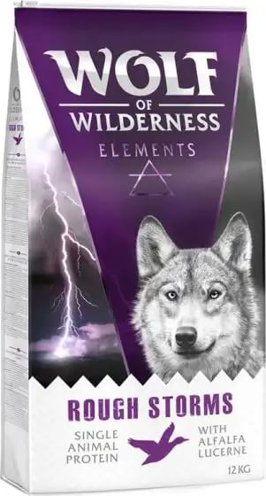 Wolf Of Wilderness Elements Rough Storms