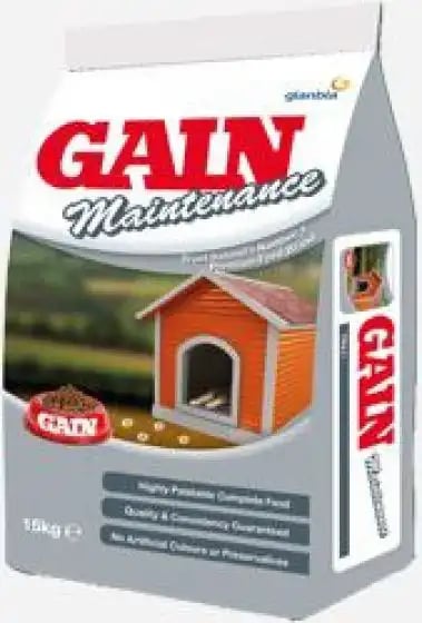 Gain Maintenance Maintenance Gain Maintenance Maintenance