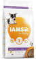 Iams For Vitality Puppy Small and Medium Breed With Fresh Chicken