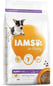 Iams For Vitality Puppy Small and Medium Breed With Fresh Chicken Iams For Vitality Puppy Small and Medium Breed With Fresh Chicken
