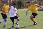 Niche Market Sports Product, Apparel and Equipment Outlet and National Online Webstore #411