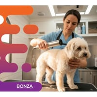 37007 - Mobile Pet Grooming Business Ready to Grow image